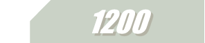 Case 1200