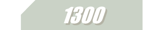 1300 Case