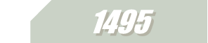 1495 Case