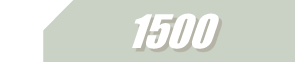 Case 1500