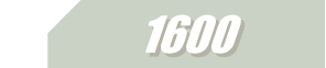 Case 1600