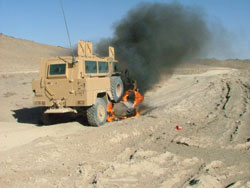 Pelican Case Survives War